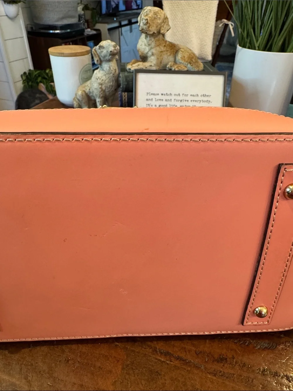 Dooney & Bourke Beacon Woven Embossed Leather Satchel/Crossbody with Pink Trim